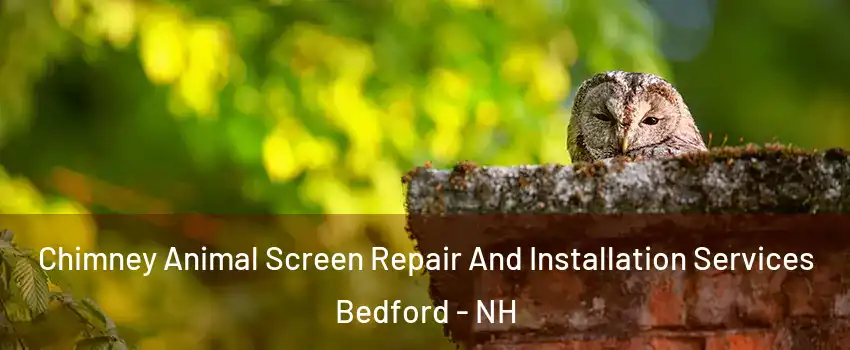  Chimney Animal Screen Repair And Installation Services Bedford - NH