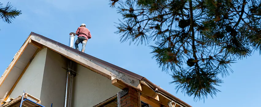 Birds Removal Contractors from Chimney in Bedford, NH